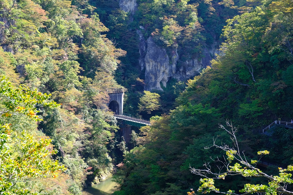 鳴子大橋から見た鳴子峡の風景写真