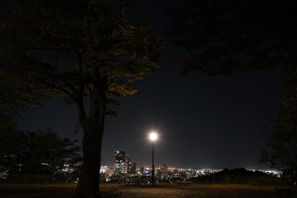 仙台城跡公園の夜の風景写真