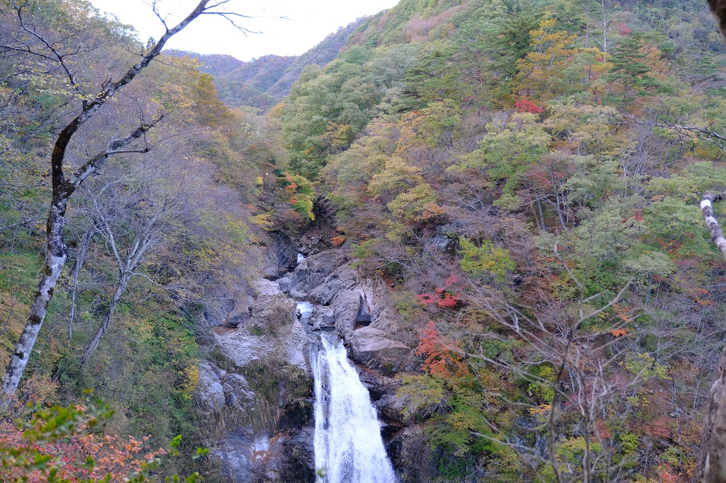 秋保大滝展望見晴らし台からの風景写真