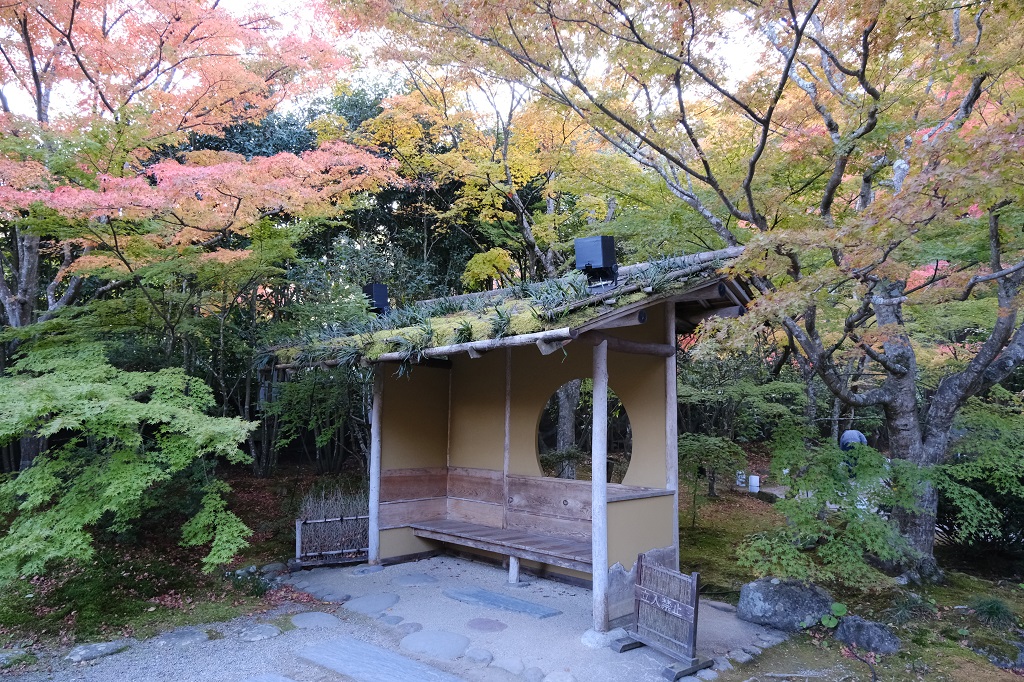 松島円通院の秋の紅葉の写真
