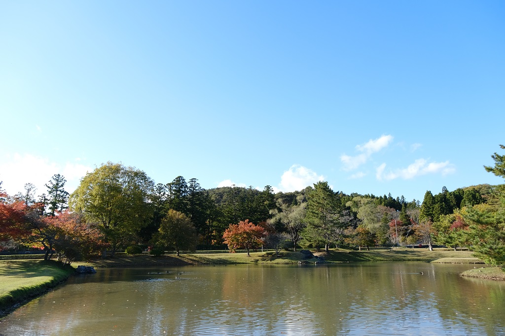 観自在王院跡の紅葉の風景写真