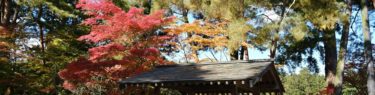 XF16-80mmF4 R OIS WRで撮影した毛越寺の紅葉の風景写真