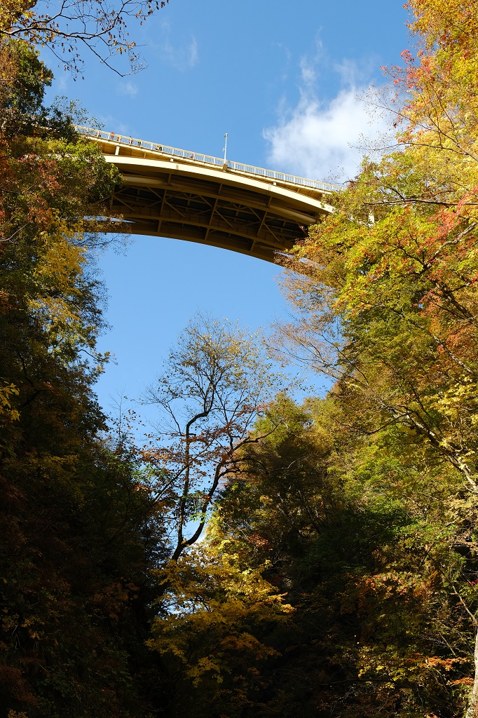 鳴子峡の紅葉の写真を遊歩道から撮影した写真