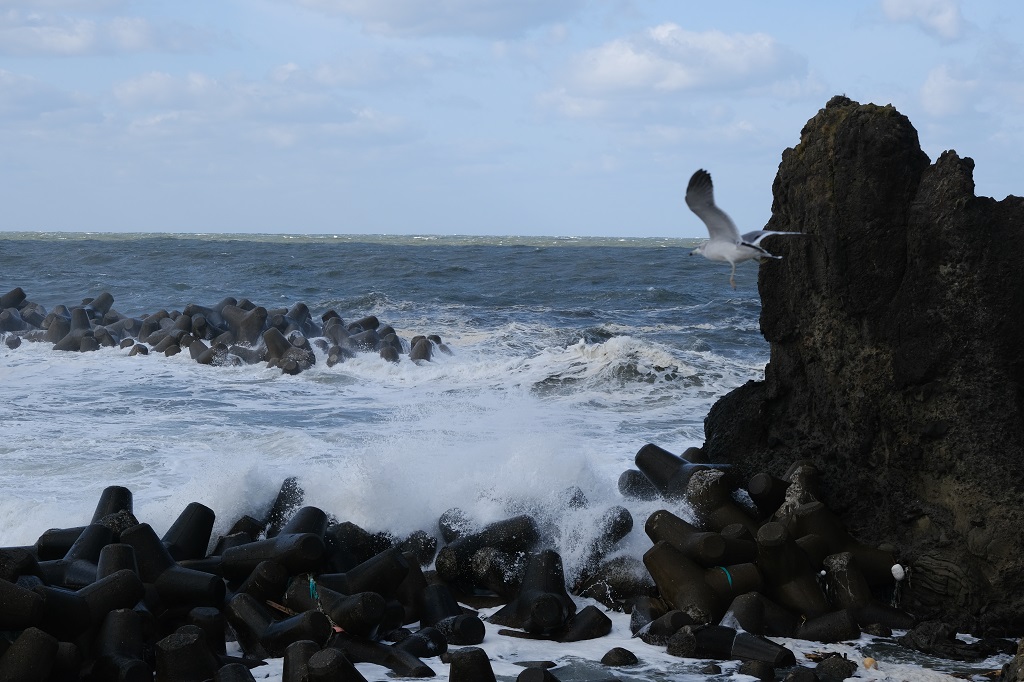 日本海の11月の荒波の写真