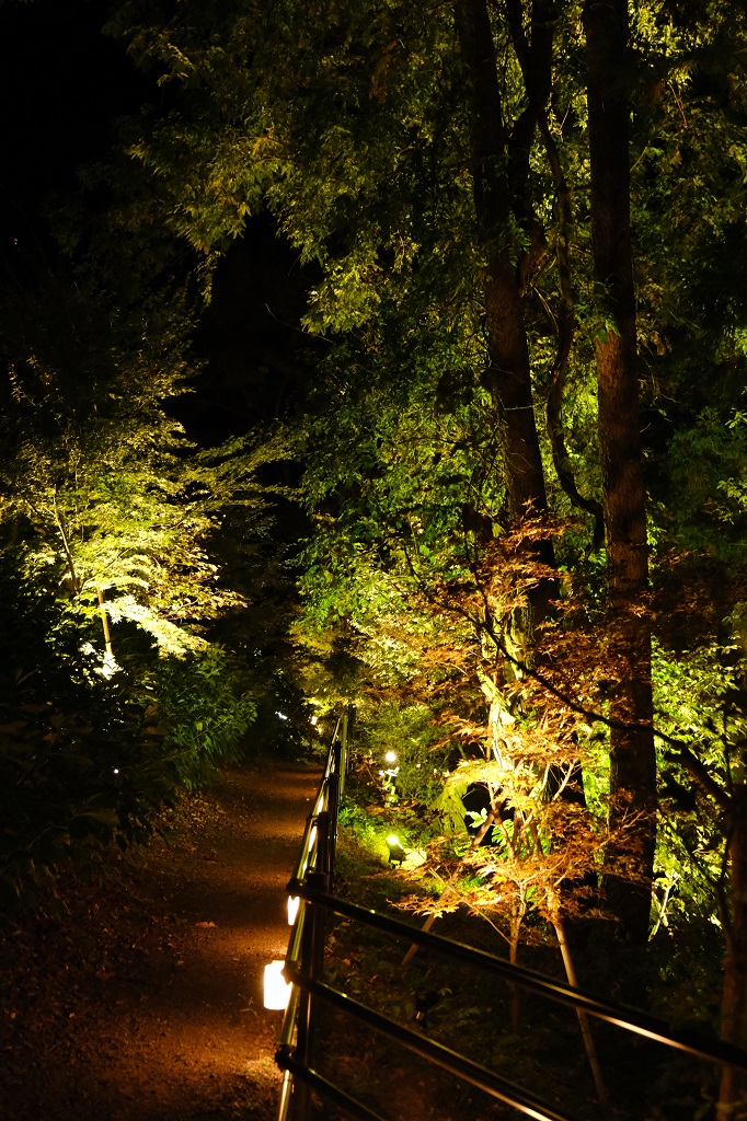 磊々峡のライトアップの風景写真