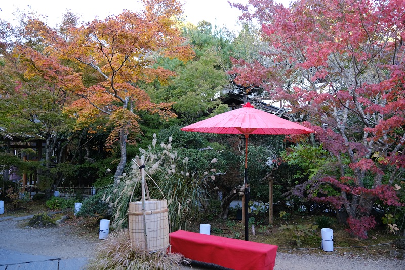 円通院の庭園の風景写真
