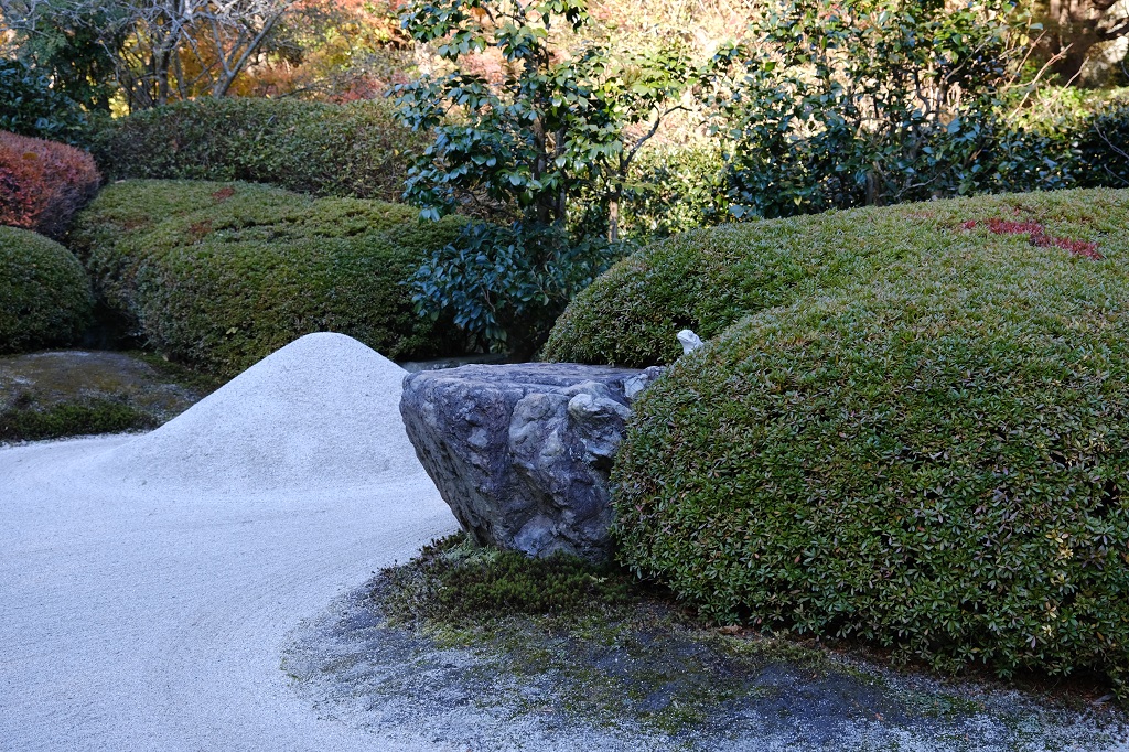明月院の本堂前の素晴らしい日本庭園の写真