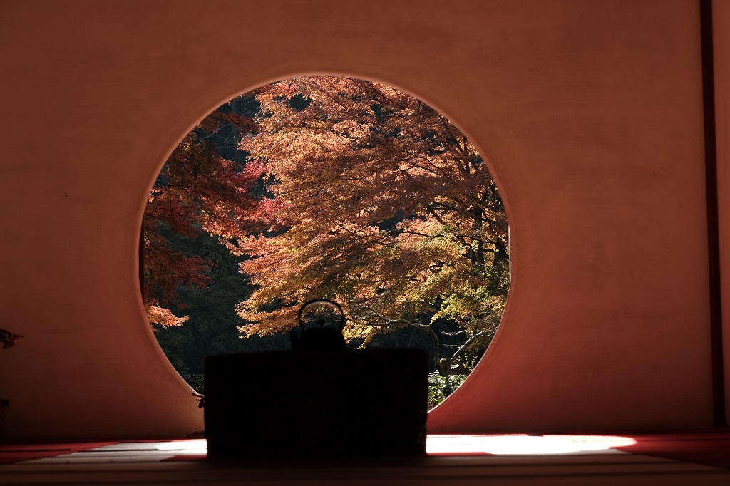 明月院の丸窓の秋の紅葉の写真