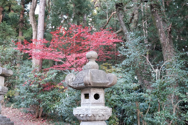 仙台東照宮の秋の紅葉時の写真