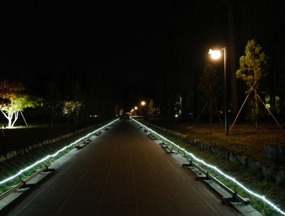 瑞巌寺の参道のライトアップ