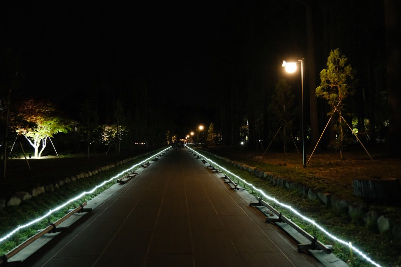 瑞巌寺の参道のライトアップ