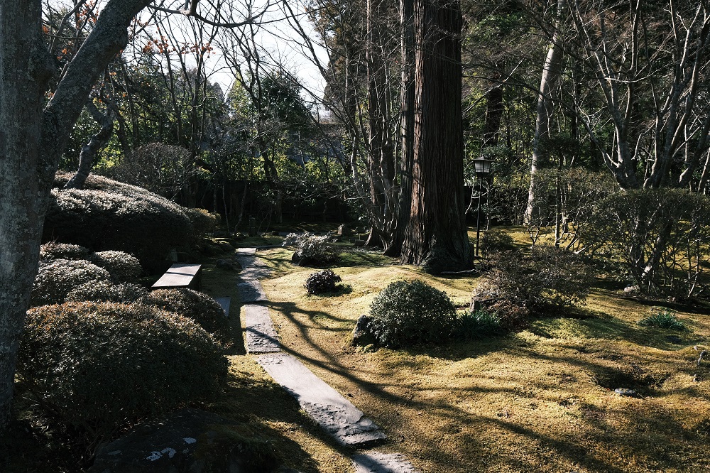 円通院の庭園の苔の風景