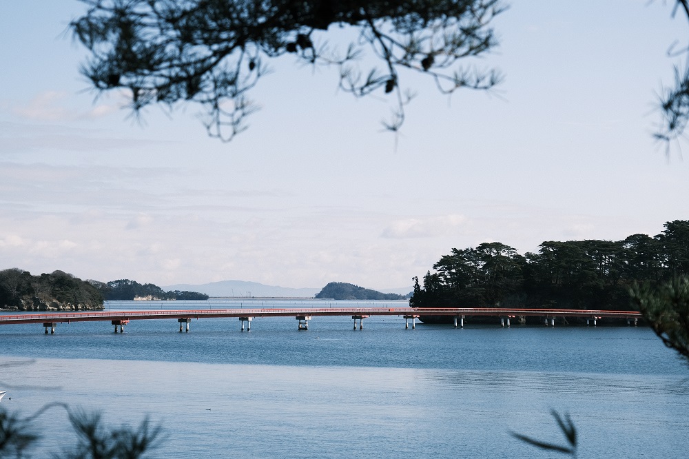 x-pro3クラシックネガで撮影の松島の風景写真
