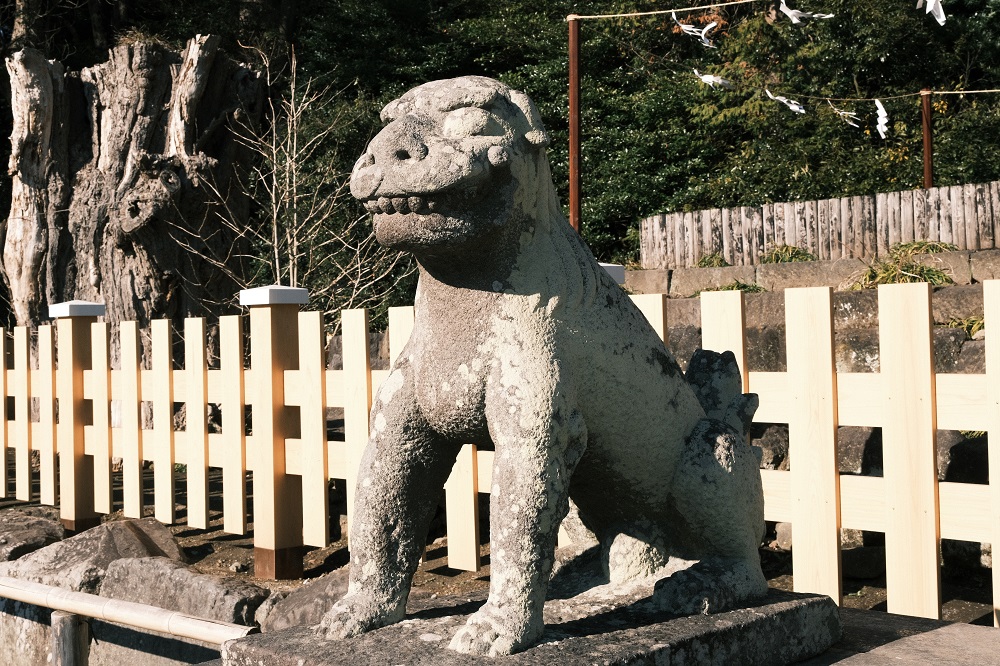 鶴岡八幡宮階段の前の狛犬