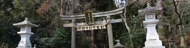 塩竃神社の冬2月の鳥居の写真