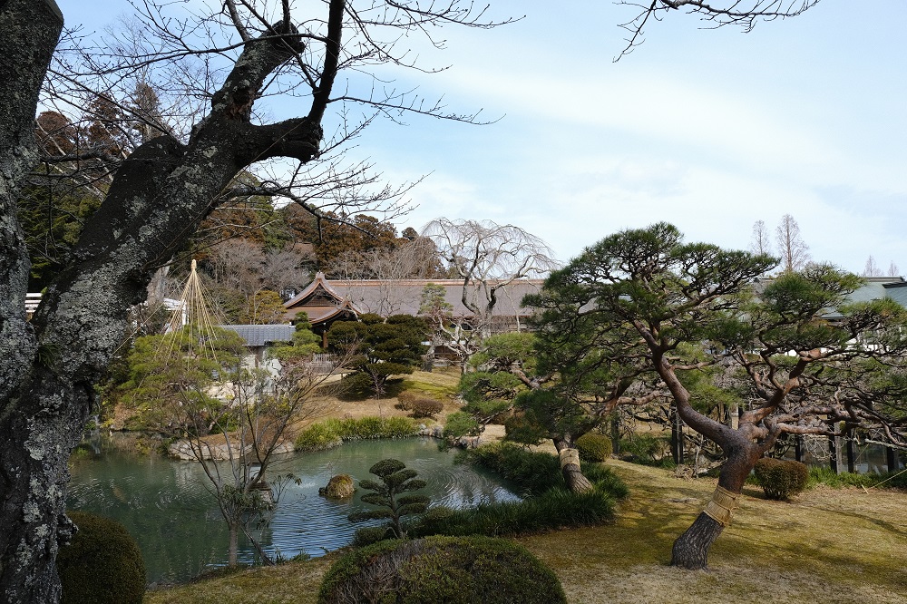 塩釜神社の庭園の風景写真