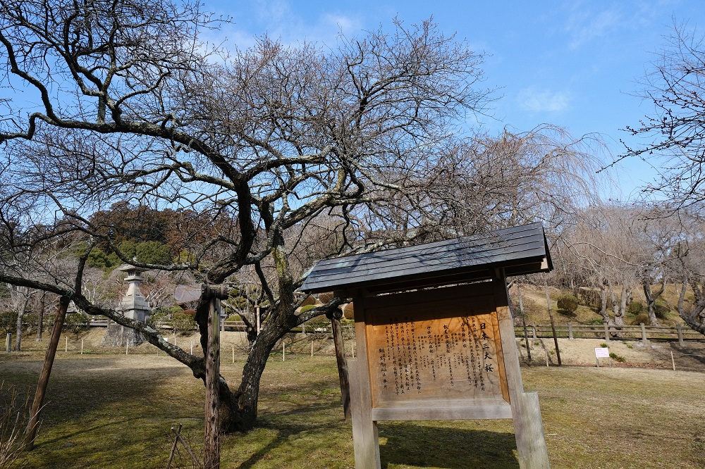 塩竃神社の冬2月の写真