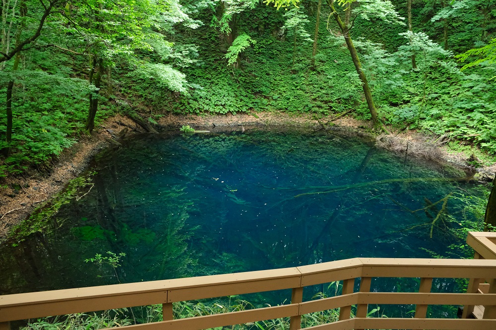 青池の不思議な青さの池の写真