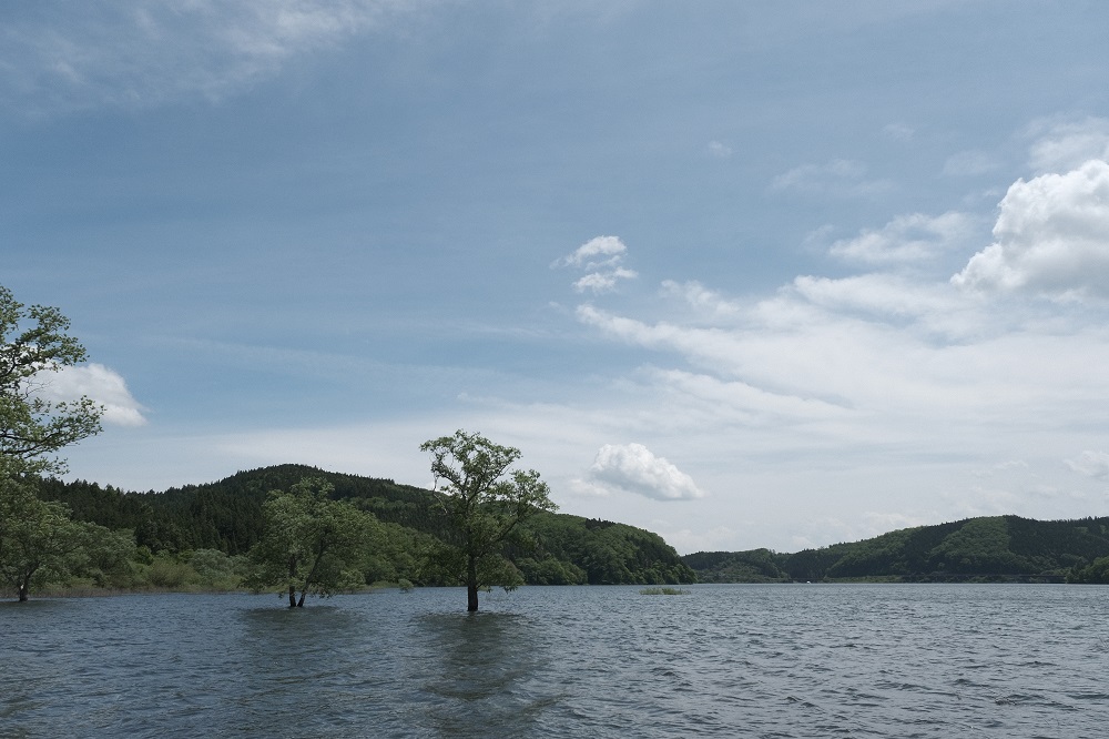 花山ダムの夏の気が水没した風景写真