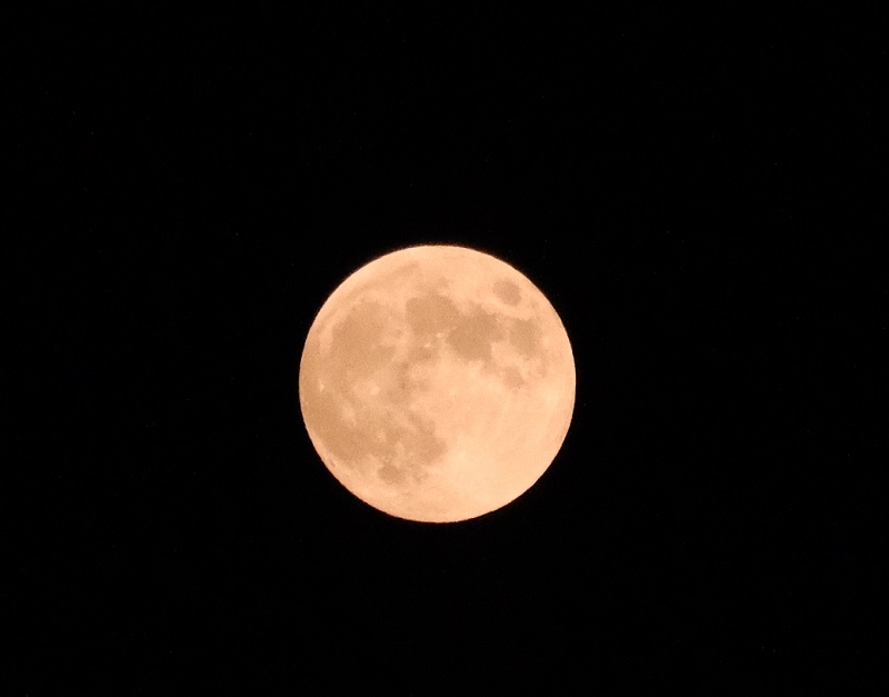 苺月（ストロベリームーンの写真