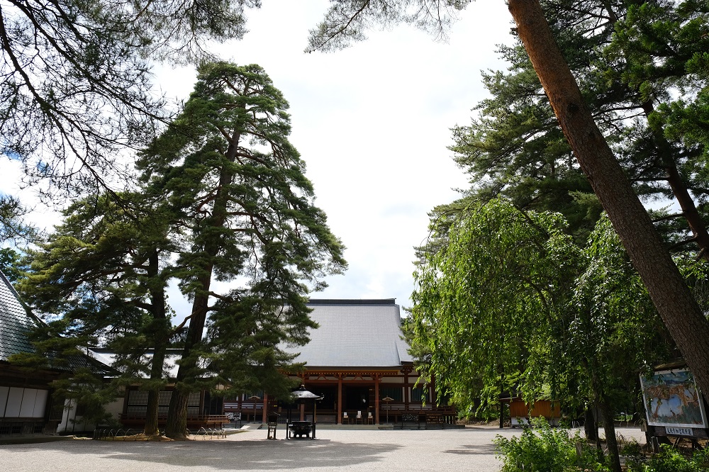 毛越寺の初夏の風景写真