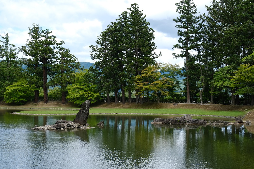毛越寺の初夏の風景写真